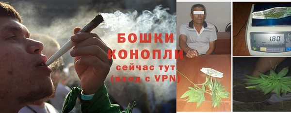 прущая мука Богданович