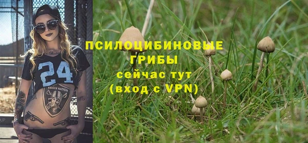 прущая мука Богданович