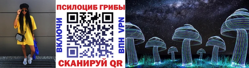 Псилоцибиновые грибы Psilocybine cubensis  omg   Междуреченск  наркота 